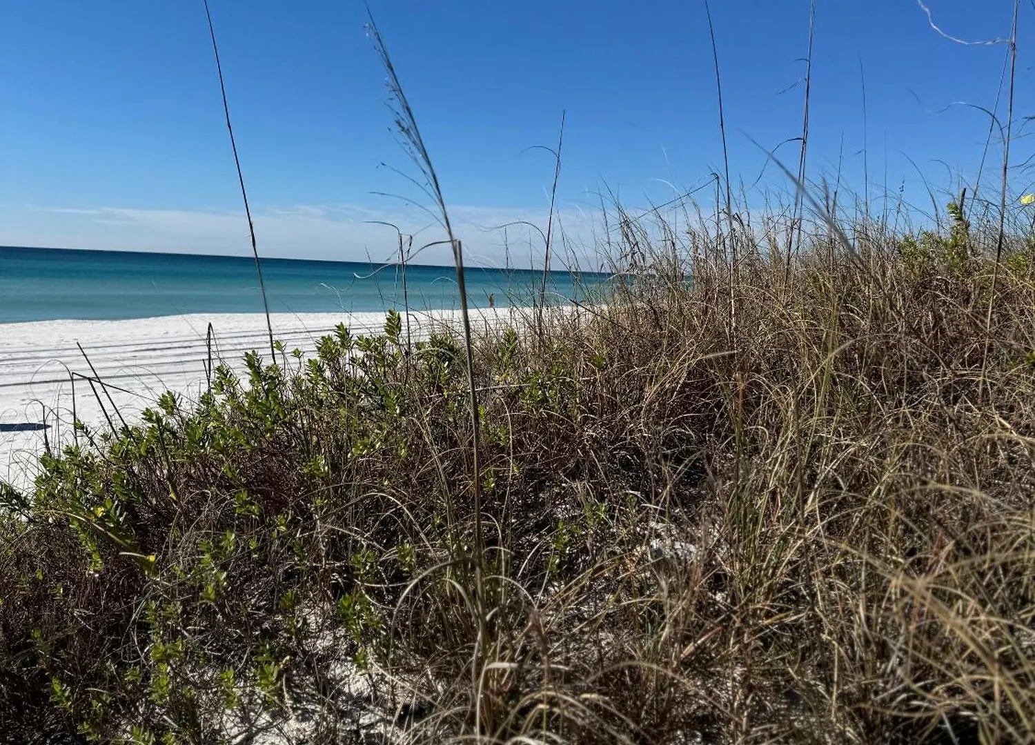 Tatil Evi Blue & Red Neptune By Nautical Properties Vacation Rentals Panama City Beach ABD