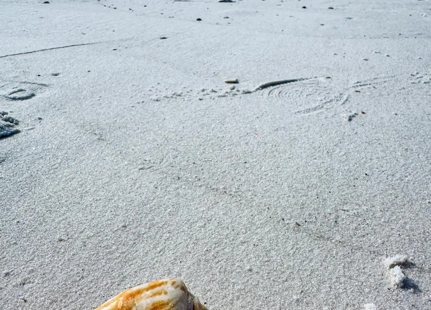 Blue & Red Neptune By Nautical Properties Vacation Rentals Panama City Beach